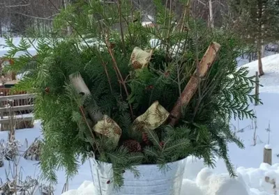 Bucket of Boughs